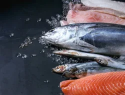 Ilmuwan Ungkap 5 Jenis Ikan Terbaik untuk Kesehatan Otak